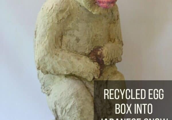 Recycled Egg Box Into Japanese Snow Monkey