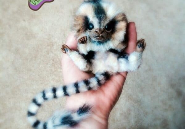 recyclart.org-recycled-clothing-animals-by-touchedbylavender