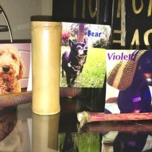 recyclart.org-fetch-a-stick-snap-a-pic-09