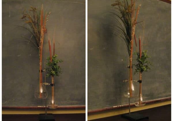 Vases made from discarded lab equipment 1