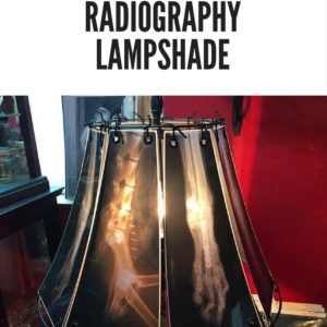 recyclart.org-x-ray-radiography-lampshade-01