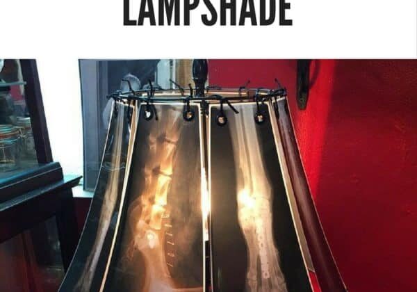 recyclart.org-x-ray-radiography-lampshade-01