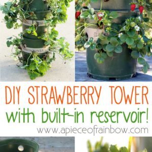 strawberry-tower-apieceofrainbowblog-1