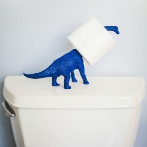 toilet-paper