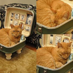 upcycled-cat-bed-suitcase1